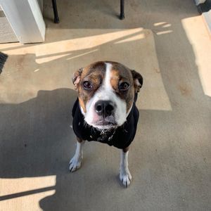 Meet your Posher, Terrell